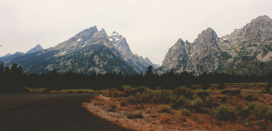 Top and Best Presentation Design Agencies and Companies in Torrington, Wyoming
