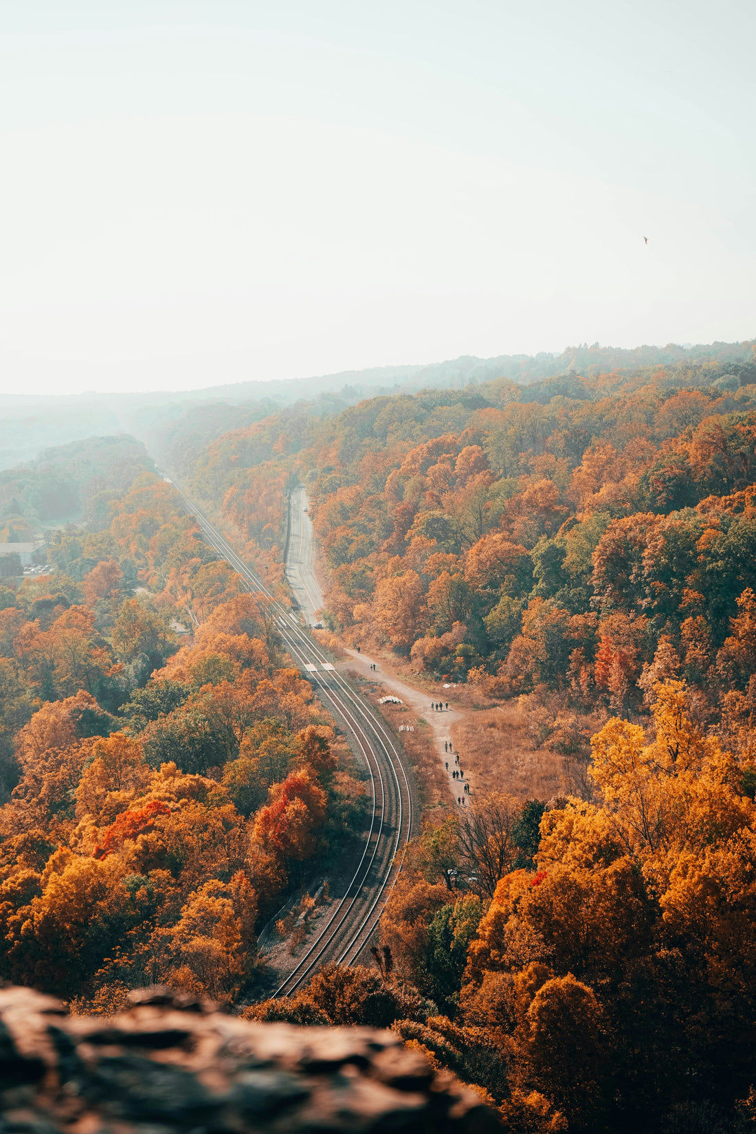 Top and Best Graphics for Streamers Agencies and Companies in Norfolk, Virginia