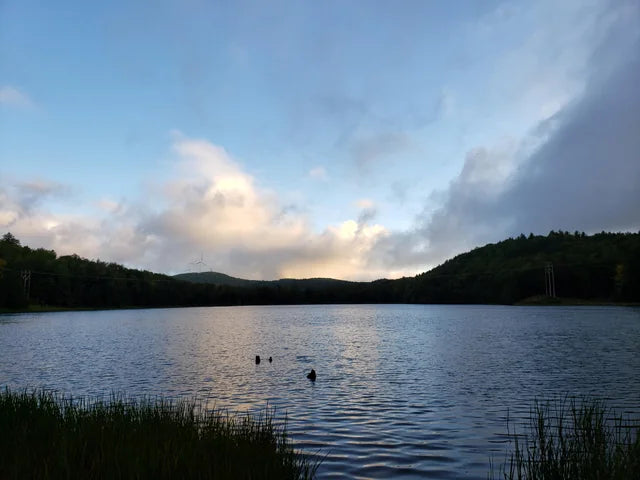 Top or Best Presentation Design Agencies and Companies in Milton, Vermont