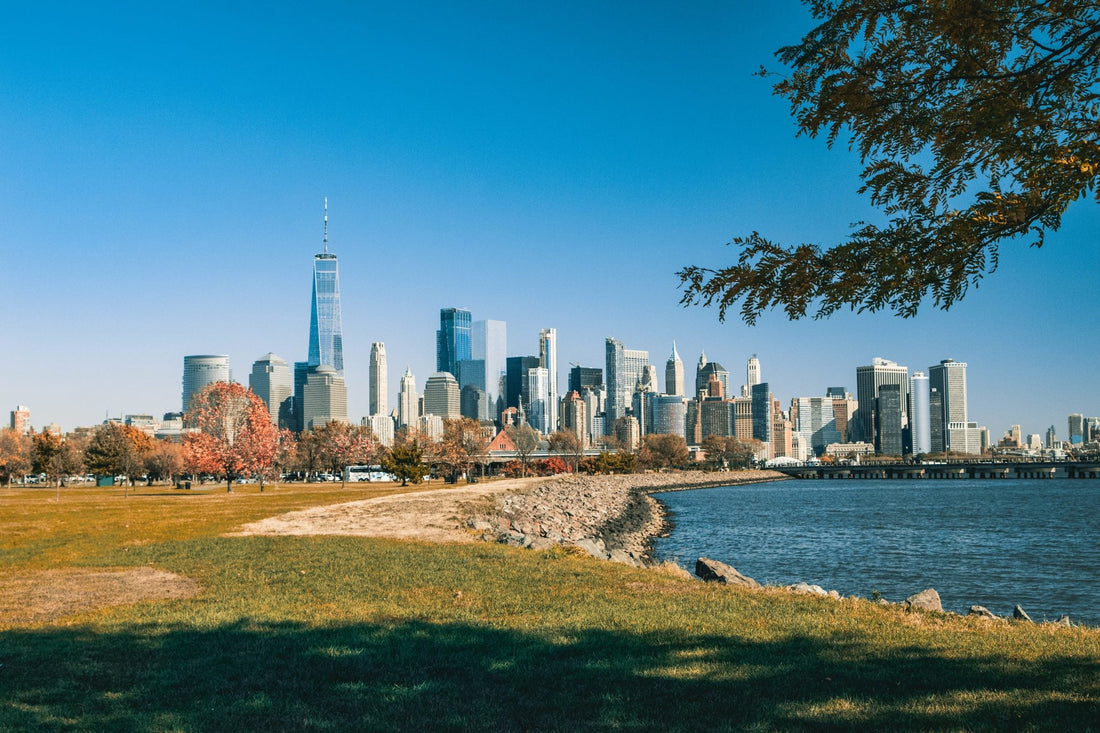 Best or Top Graphics for Streamers Agencies and Companies in Jersey City, New Jersey