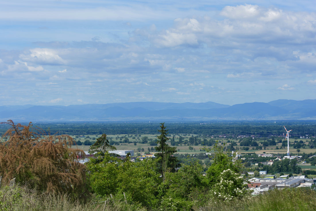 Top and Best Logo Animation Agencies and Companies in Beaverton, Oregon