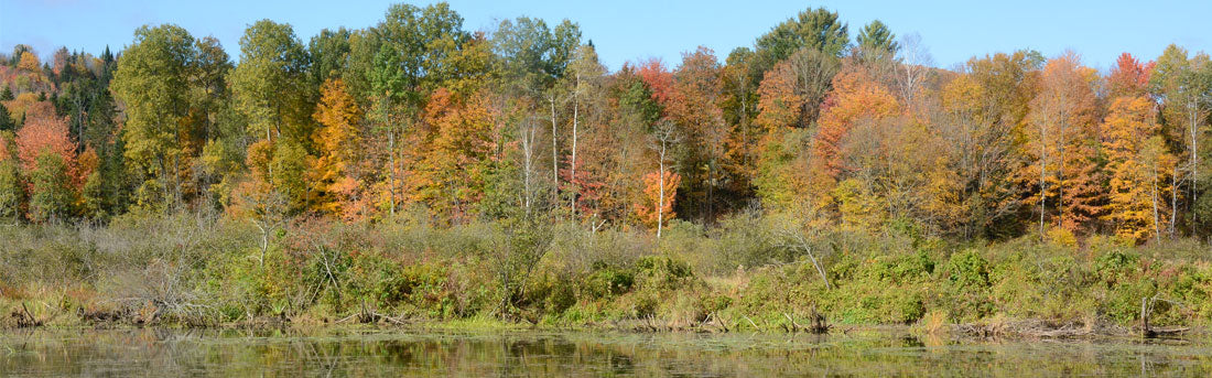 Top or Best Tattoo Design Agencies and Companies in Essex, Vermont