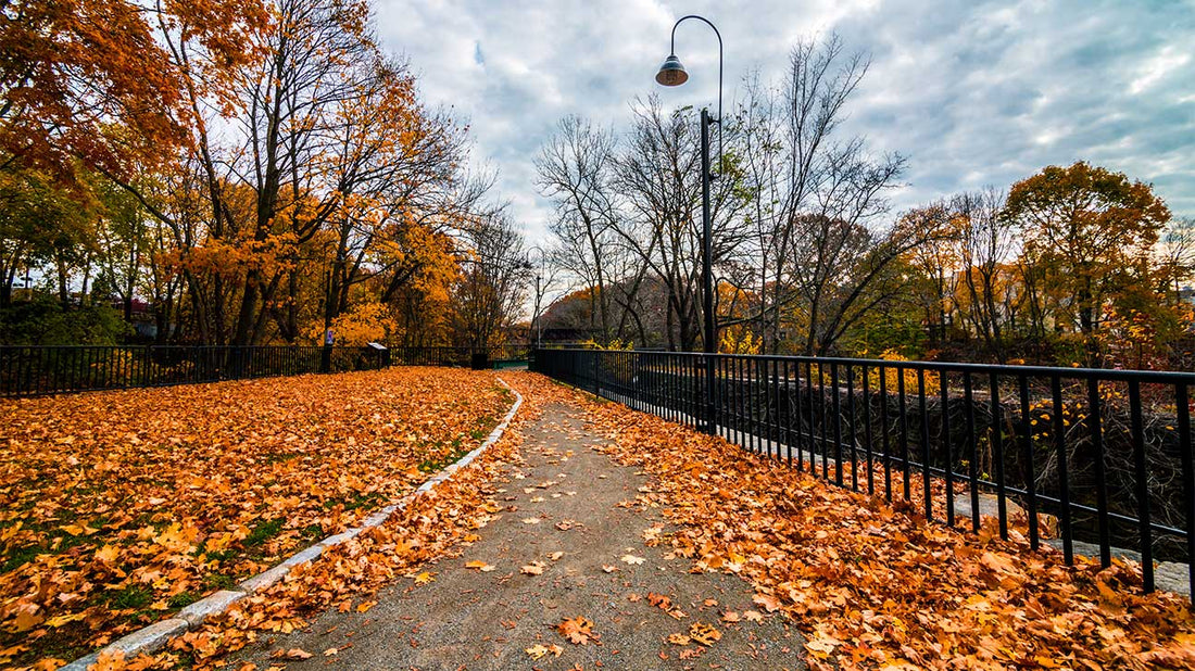 Top or Best Brochure Design Agencies and Companies in Johnston, Rhode Island