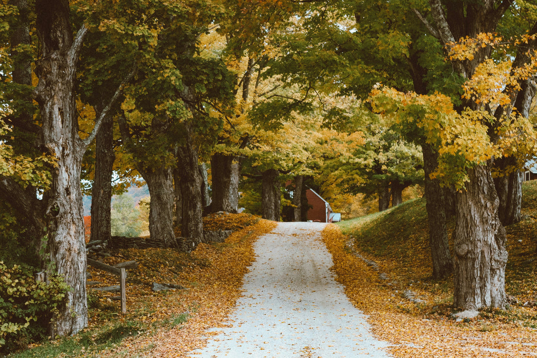 Top and Best Infographic Design Agencies and Companies in Suffolk, Virginia