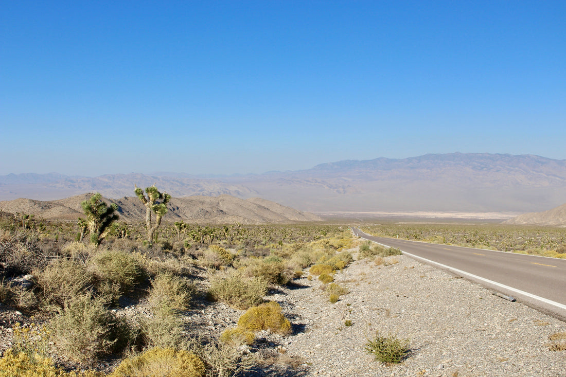 Top and Best Graphic Design Subscription Agencies and Companies in Paradise, Nevada