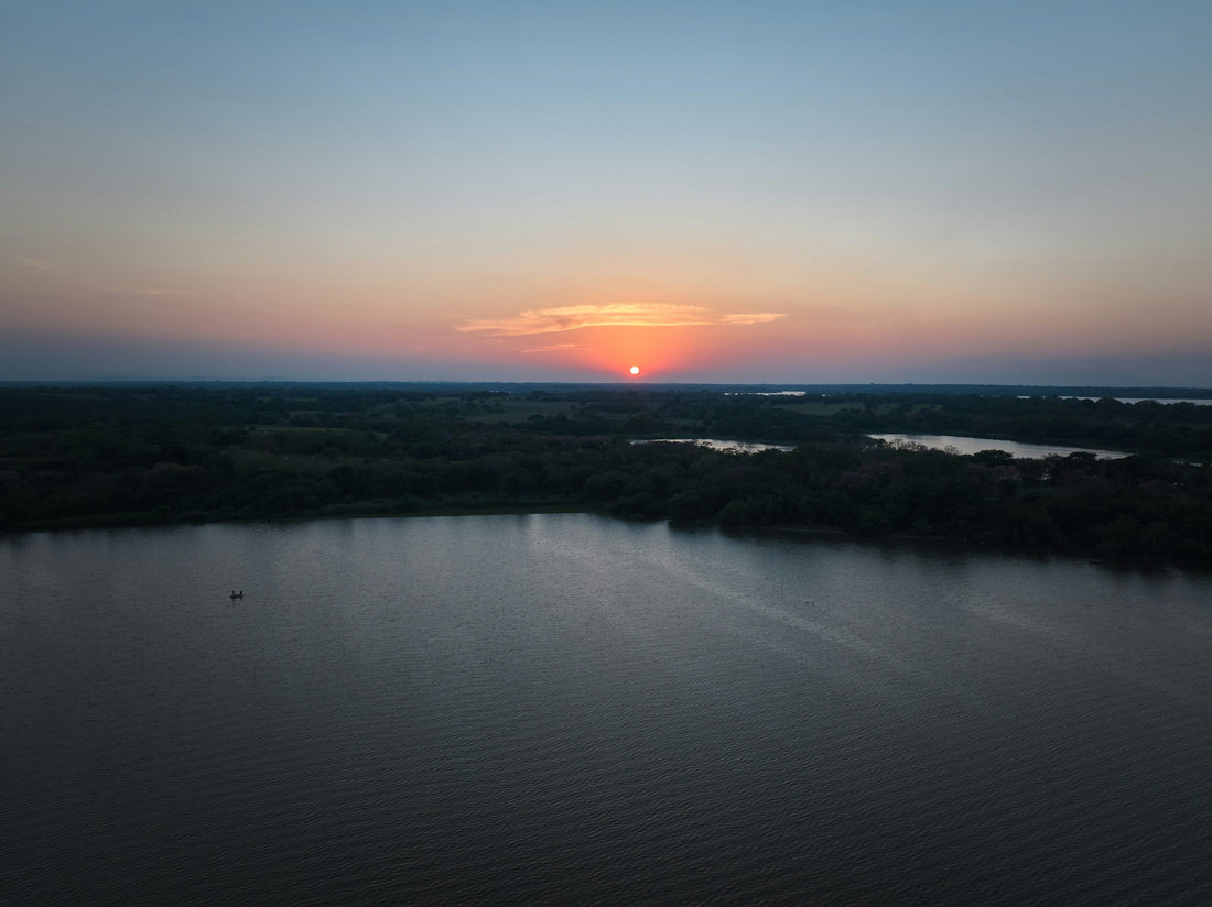 Top or Best Photo Editing Agencies and Companies in Horn Lake, Mississippi