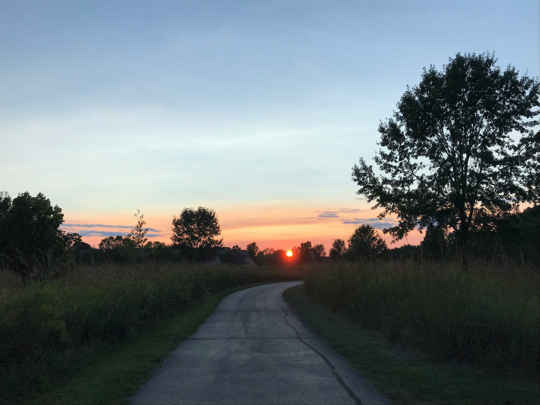 Top or Best Postcard Design Agencies and Companies in Lansing, Michigan