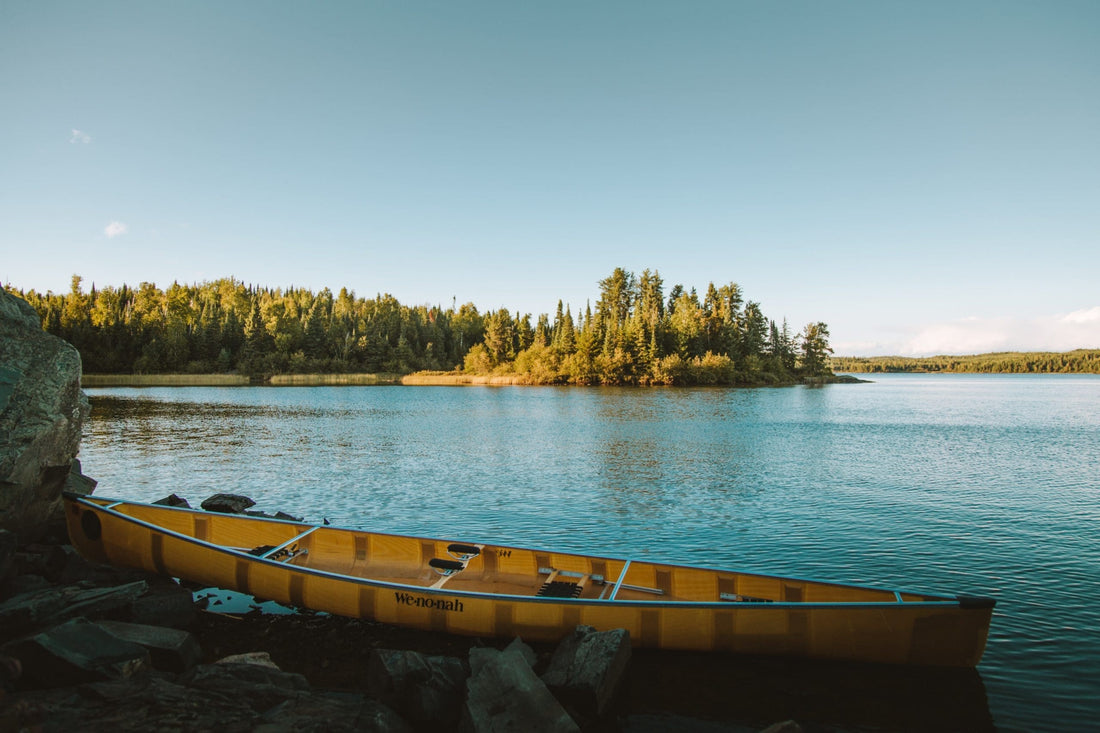 Top	Social Media Design Agencies in Minnesota