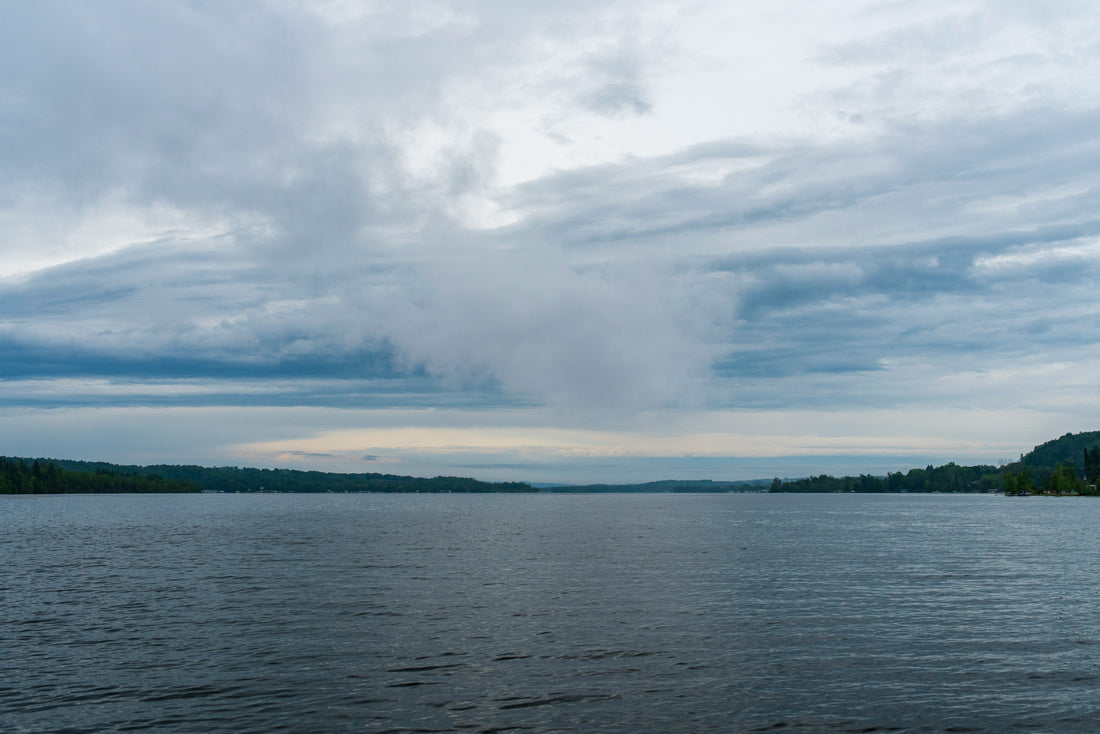 Top or Best Twitch Management Agencies and Companies in Horn Lake, Mississippi
