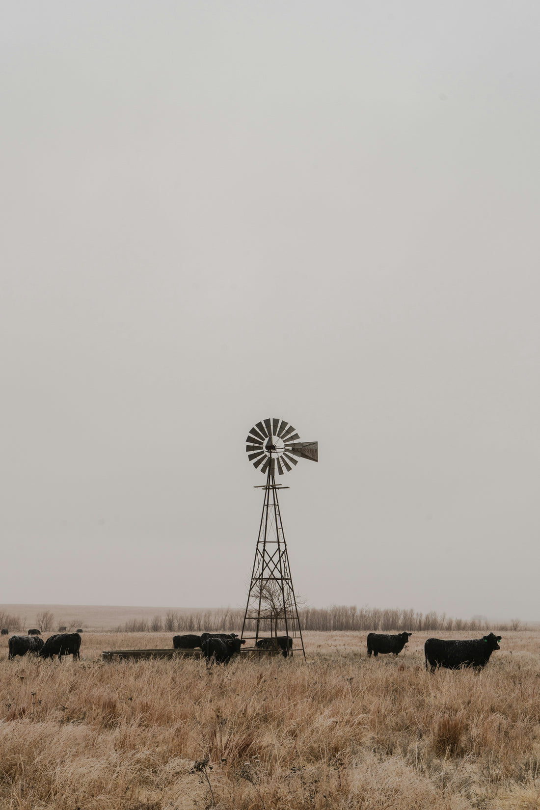 Top and Best Email Campaign Design Agencies and Companies in Huron, South Dakota
