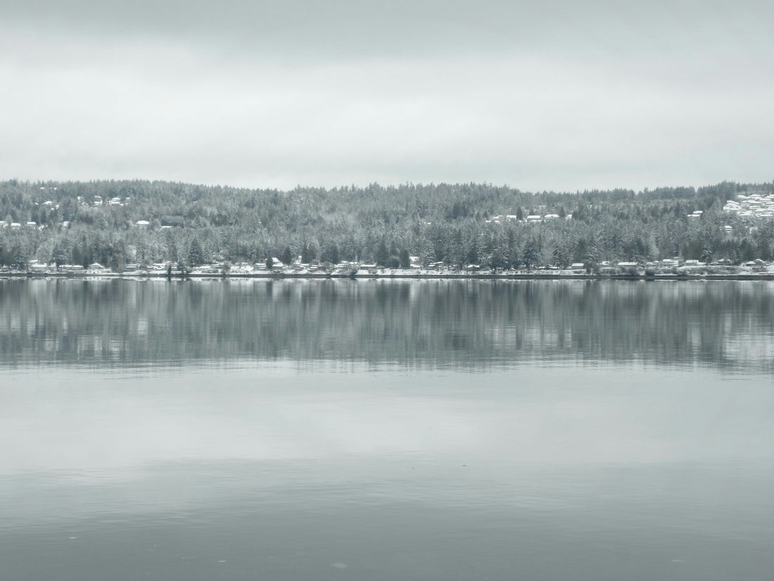 Top or Best Mural Design Agencies and Companies in Gorham, Maine