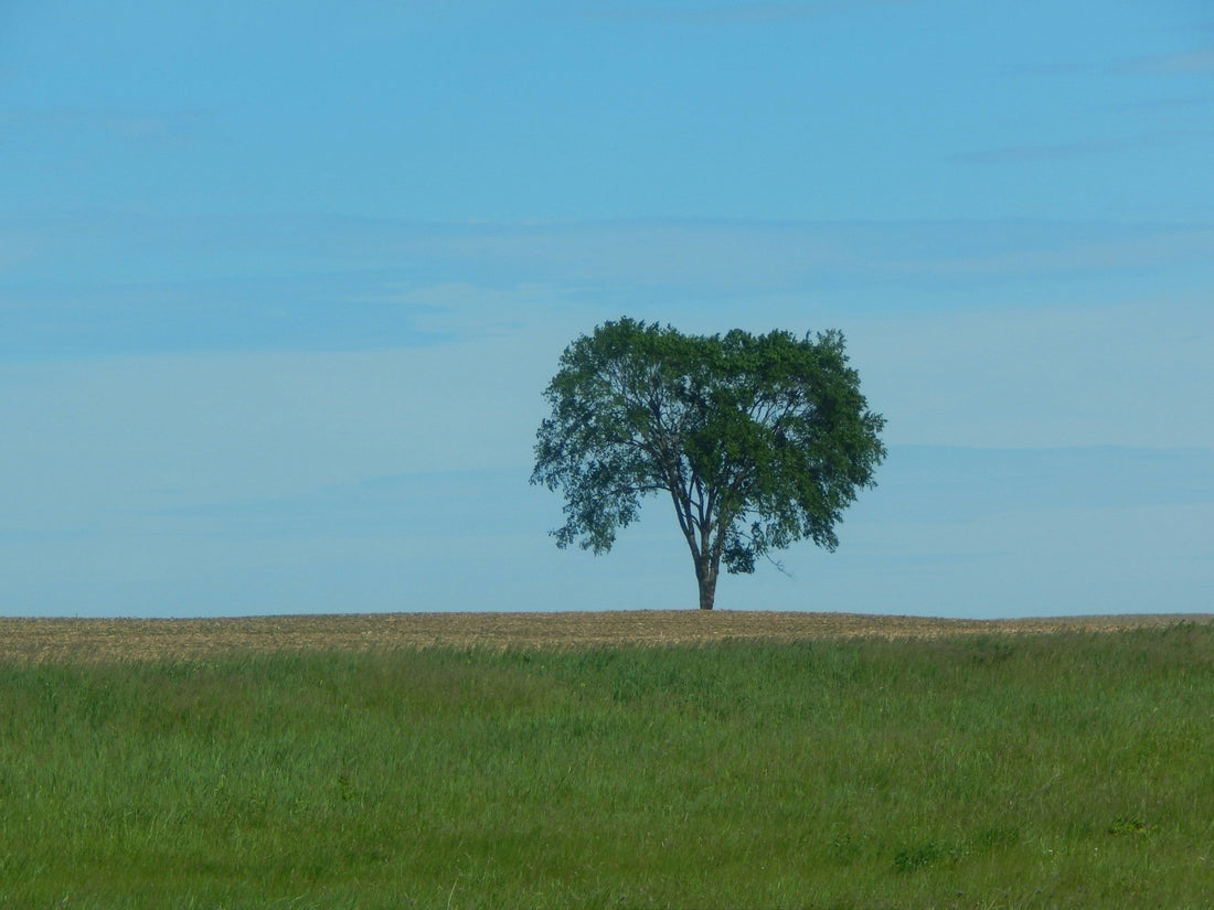 Top and Best Facebook Management Agencies and Companies in Huron, South Dakota