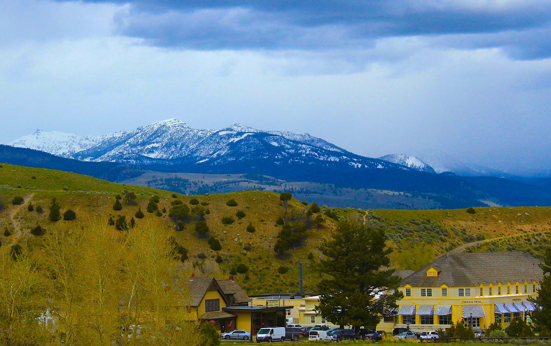 Top and Best Facebook Management Agencies and Companies in Torrington, Wyoming