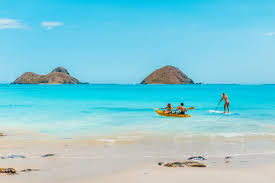 Top or Best AR Filter and Lens Agencies and Companies in Kailua, Hawaii