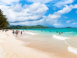 Top or Best Presentation Design Agencies and Companies in Kailua, Hawaii