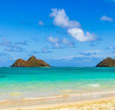 Top or Best Website Design Agencies and Companies in Kailua, Hawaii