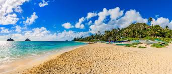 Top or Best Invitation Design Agencies and Companies in Kailua, Hawaii