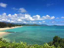 Top or Best Menu Design Agencies and Companies in Kailua, Hawaii
