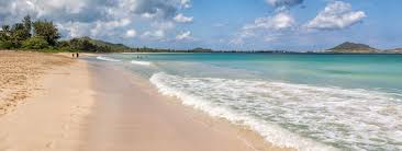 Top or Best Drawing and Illustration Agencies and Companies in Kailua, Hawaii