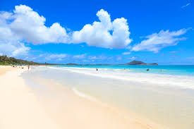 Top or Best NFT Art Agencies and Companies in Kailua, Hawaii