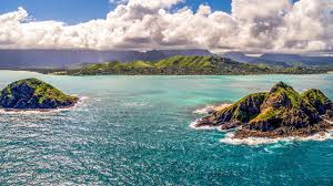 Top or Best Portrait and Caricature Agencies and Companies in Kailua, Hawaii