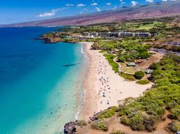 Top or Best Cartoons and Comics Agencies and Companies in Kailua, Hawaii