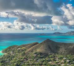 Top or Best App UI/UX Design Agencies and Companies in Kailua, Hawaii