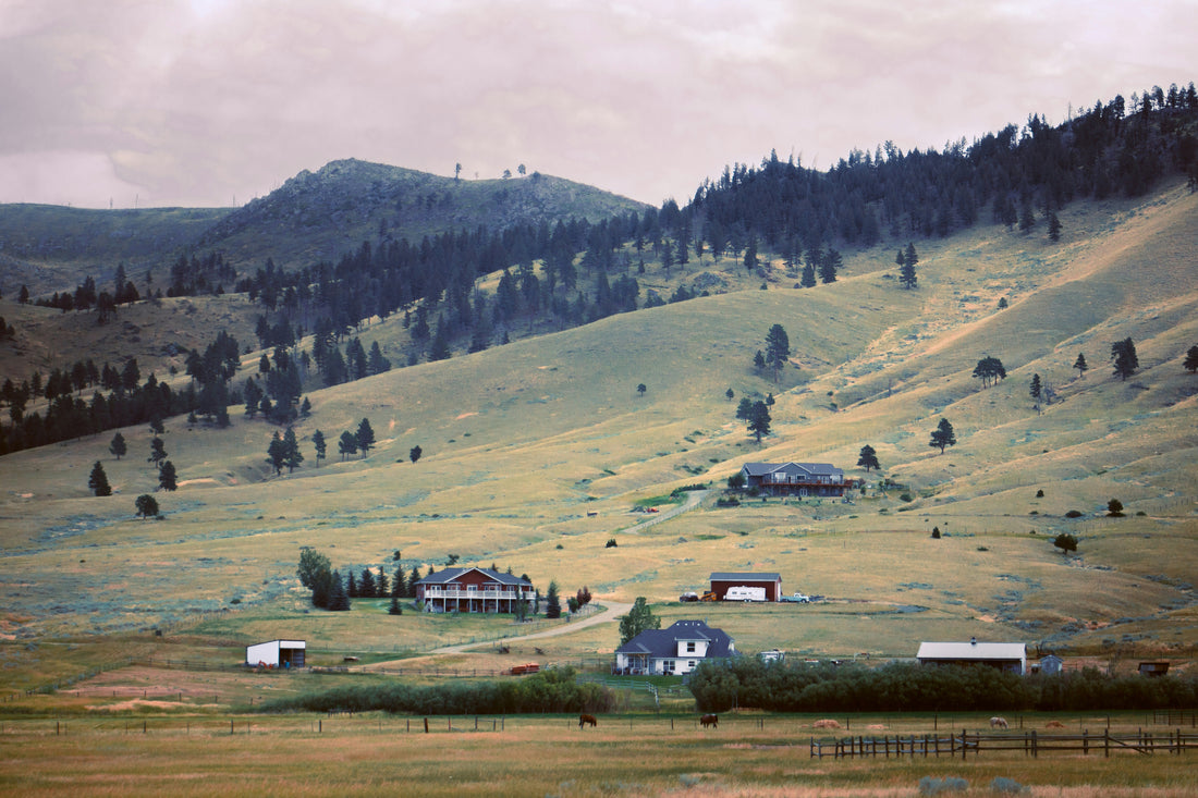 Top or Best TikTok Management Agencies and Companies in Miles City, Montana