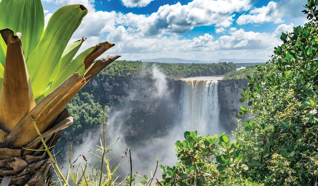 Top or Best Influencer Brand Partnership Agencies and Companies in Guyana