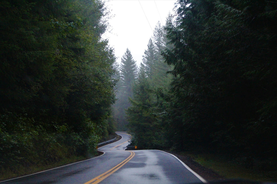 Top and Best Social Media Management Agencies and Companies in Salem, Oregon