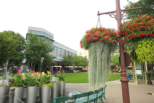 Top or Best App UI/UX Design Agencies and Companies in Kansas