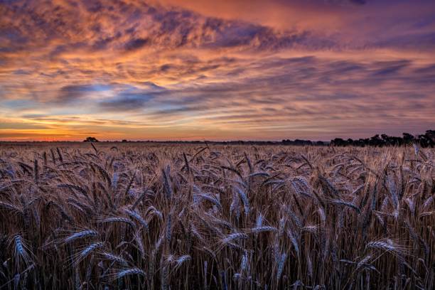 Top or Best Photography & Photo Editing Agencies and Companies in Kansas