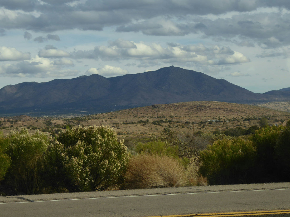 Top and Best Social Media Design Agencies and Companies in Carson City, Nevada