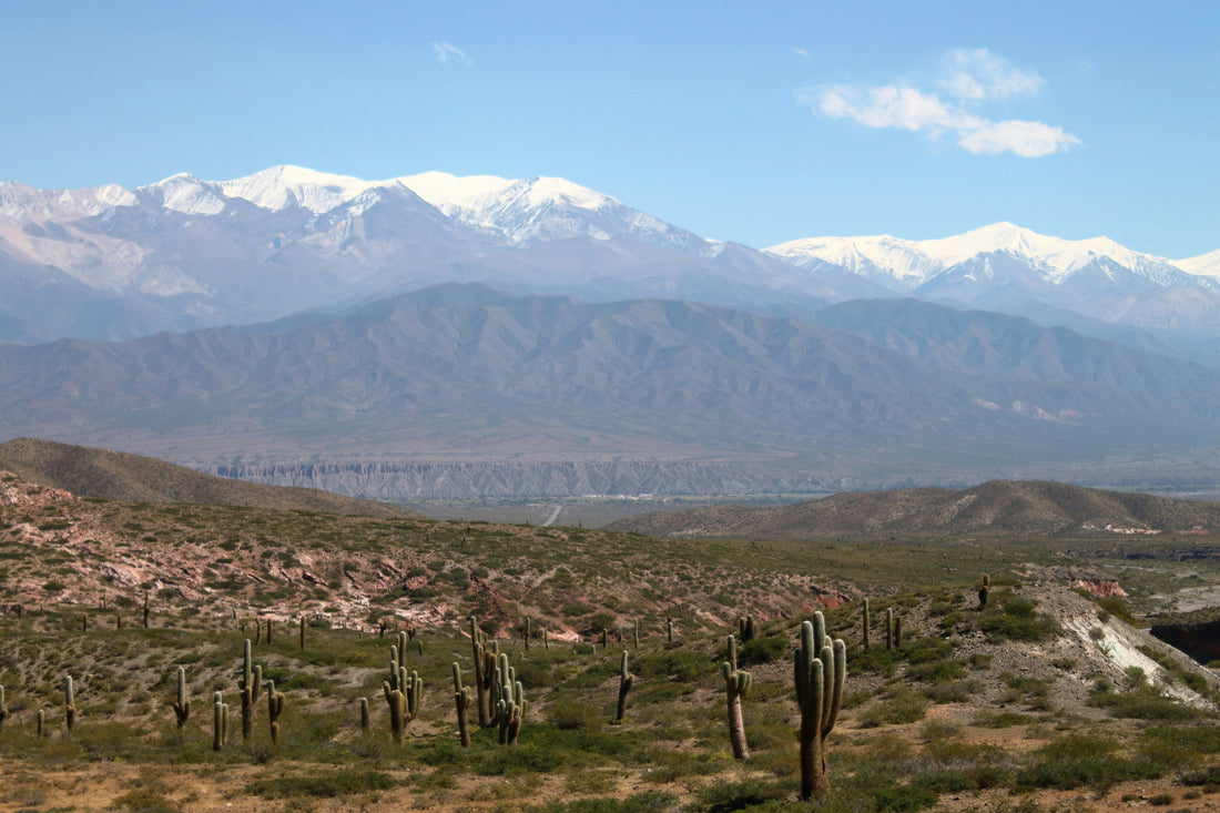 Top and Best Presentation Design Agencies and Companies in Paradise, Nevada