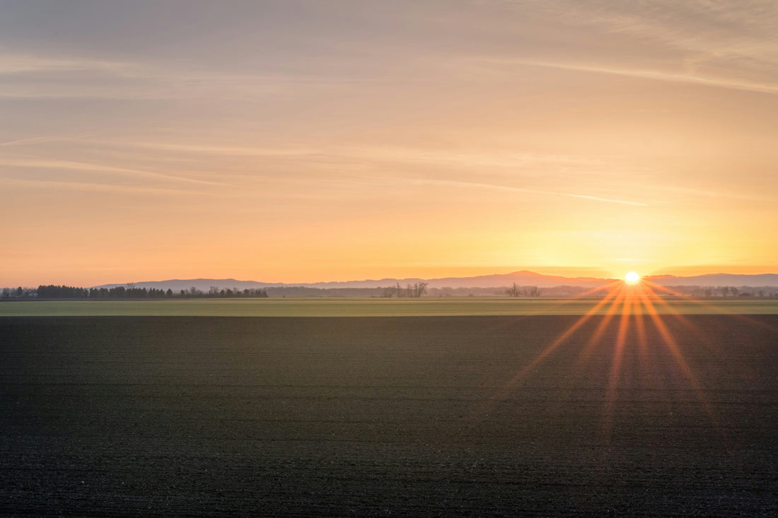 Top and Best Web and Mobile Design Agencies and Companies in Vermillion, South Dakota