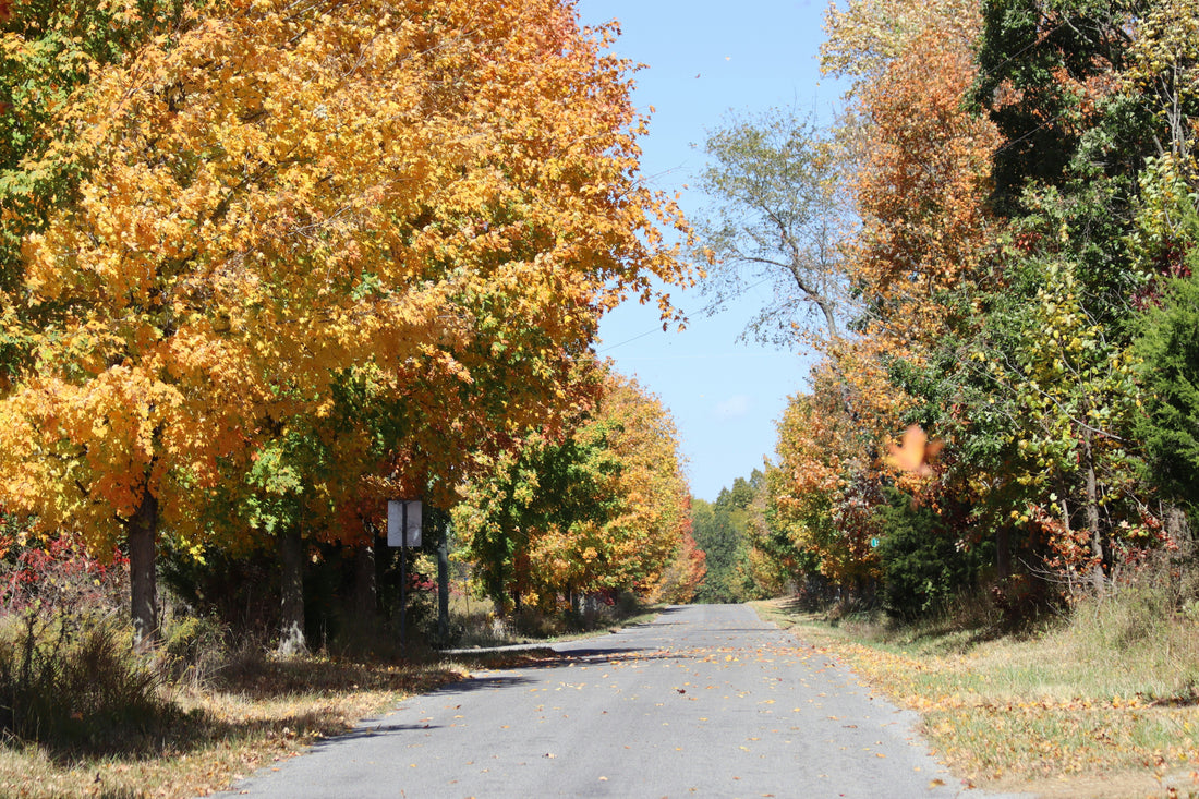 Top and Best Infographic Design Agencies and Companies in Old Bridge, New Jersey