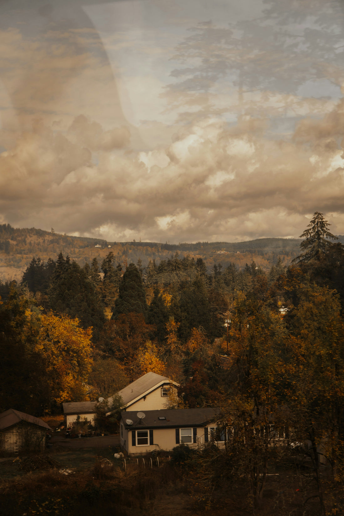 Top and Best Social Media Management Agencies and Companies in Hillsboro, Oregon