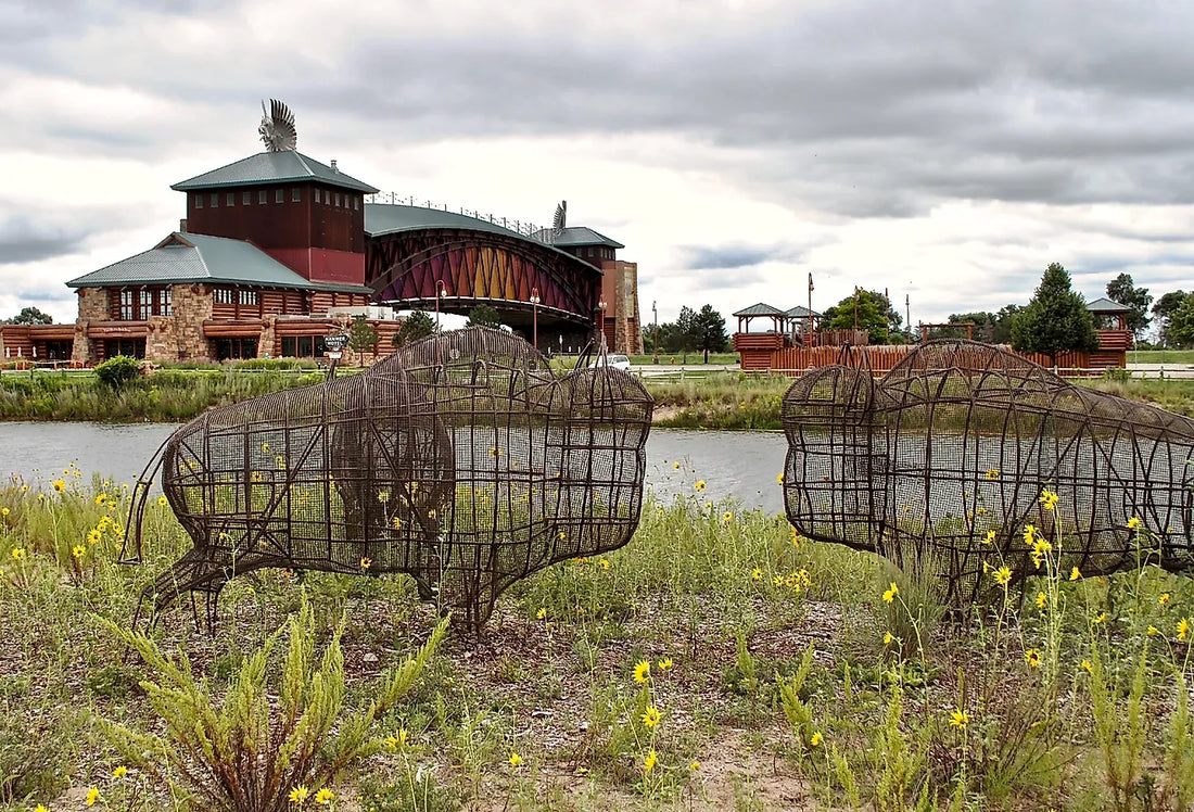 Top or Best Invitation Design Agencies and Companies in Lexington, Nebraska