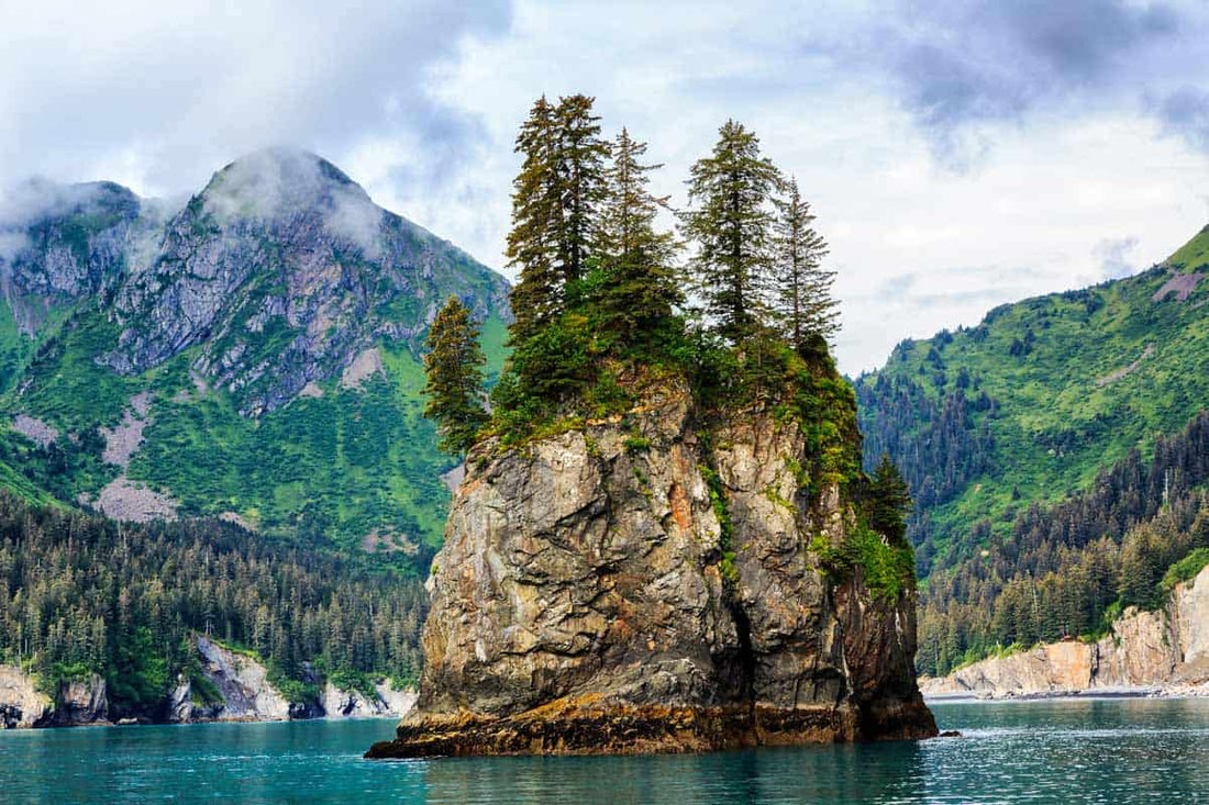 Top or Best Graphics for Streamers Agencies and Companies in Kenai, Alaska
