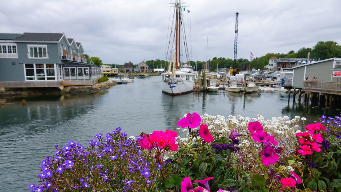 Top or Best NFT Art Agencies and Companies in Kennebunk, Maine