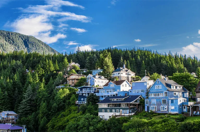 Top or Best Portrait & Caricature Agencies and Companies in Ketchikan, Alaska