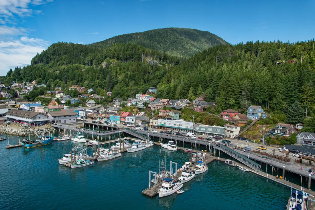 Top or Best Logo Design Agencies and Companies in Ketchikan, Alaska