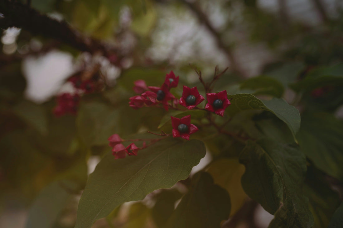 Top and Best Brand Identity Package Agencies and Companies in Gresham, Oregon