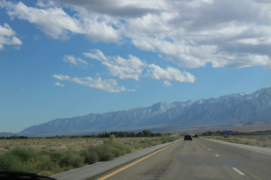 Top and Best LinkedIn Management Agencies and Companies in Paradise, Nevada