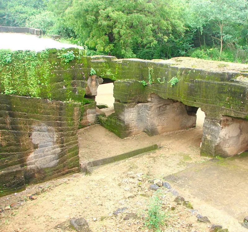 Top or Best Snapchat Management Agencies and Companies in Rajkot, India