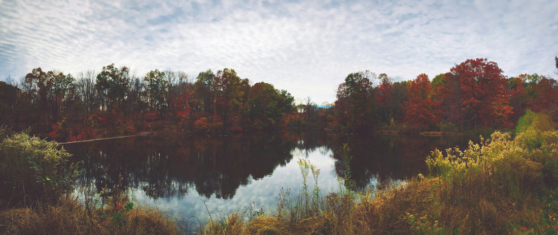 Top and Best Photo Editing Agencies and Companies in Chesapeake, Virginia