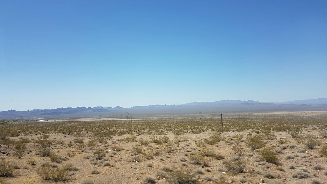 Top and Best Storyboard Agencies and Companies in Paradise, Nevada