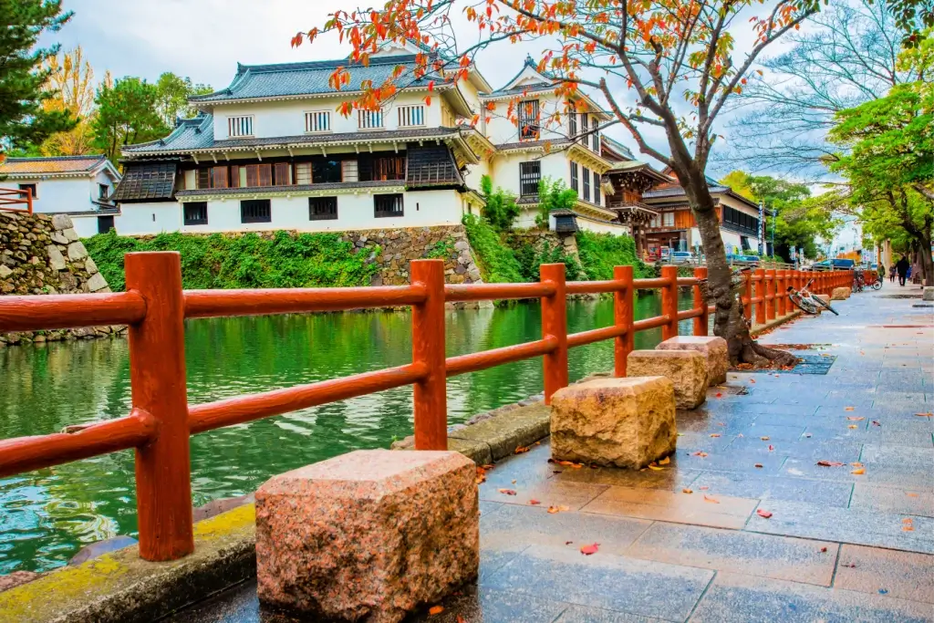 Top or Best Athlete Brand Collaboration Agencies and Companies in Kitakyushu, Japan