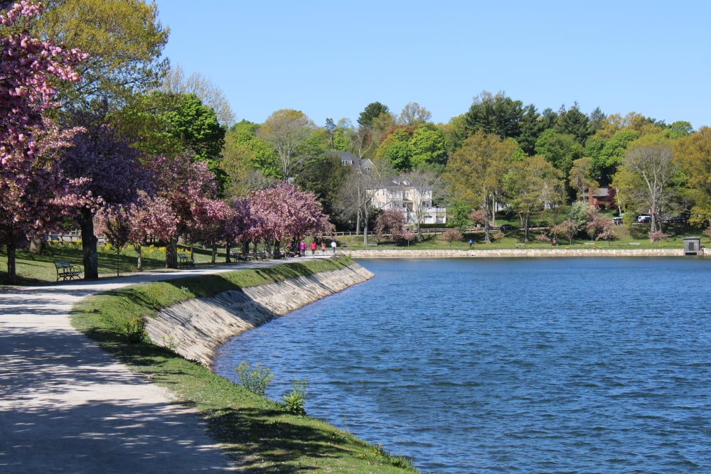 Top or Best Drawing & Illustration Agencies and Companies in Brookline, Massachusetts