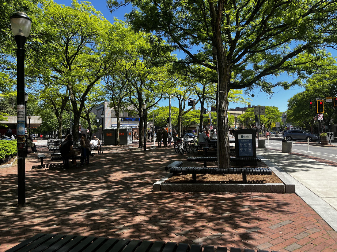 Top or Best Brochure Design Agencies and Companies in Somerville, Massachusetts